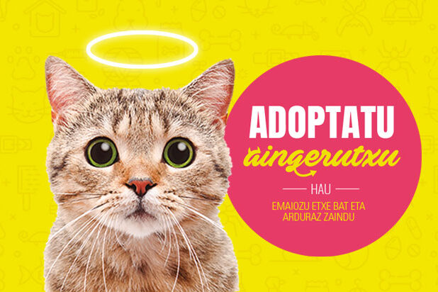 Bilbondok animaliak arduraz-edukitzea eta zaintzea sustatzen-du